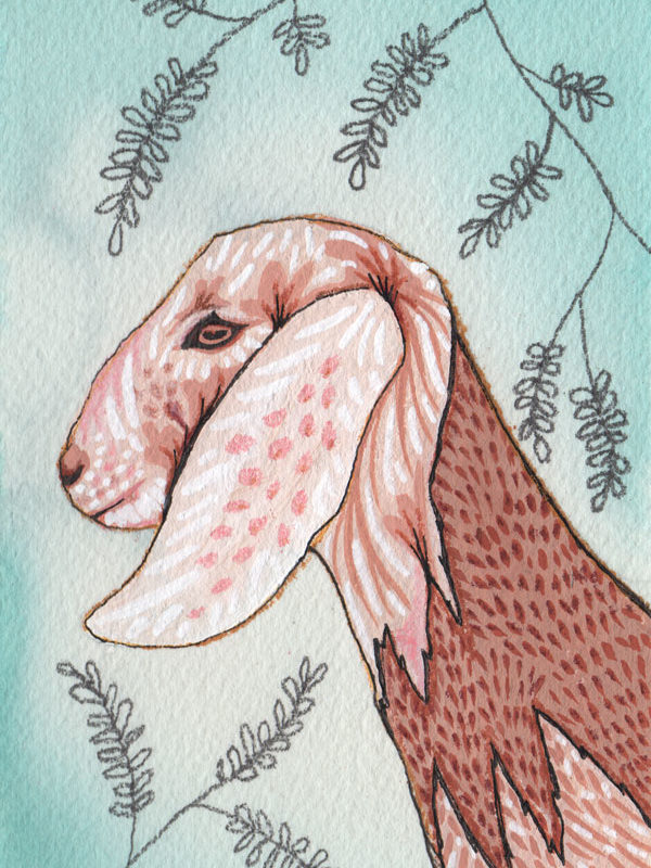 Watercolor Goat